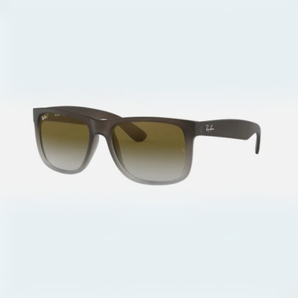 RB 2140 Wayfarer - Image 4