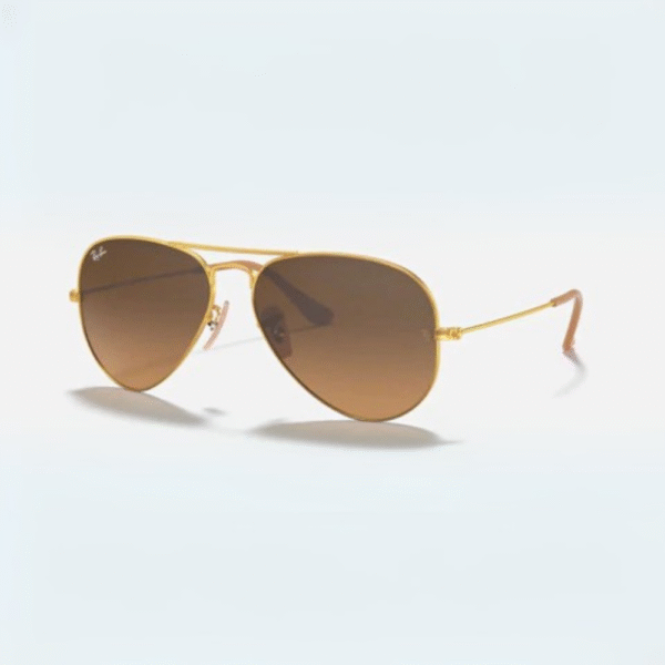 RB 3025 Aviator - Image 14