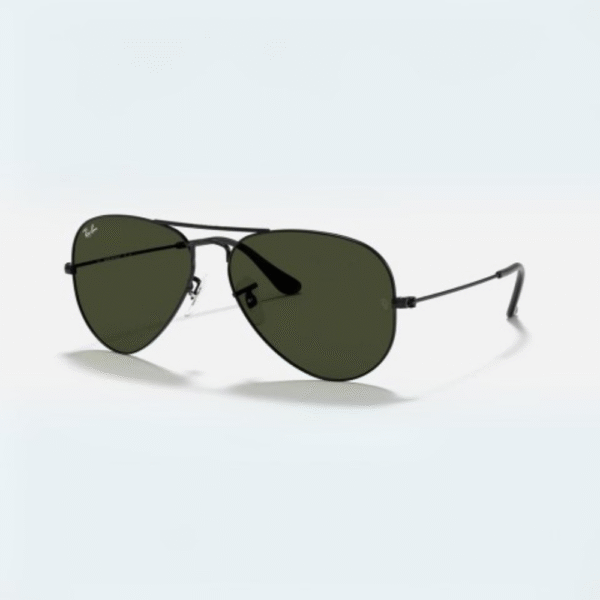 RB 3025 Aviator - Image 12